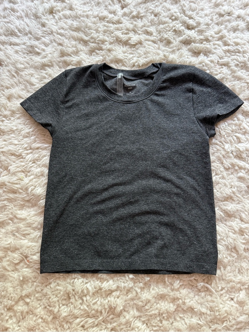 Aritzia Charcoal Gray Crewneck Short Sleeve Tee